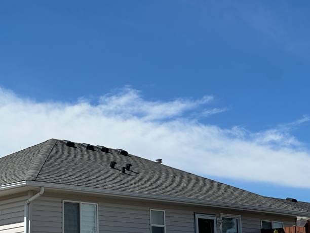 Best Asphalt Shingles Roofing  in Lake Arbor, MD